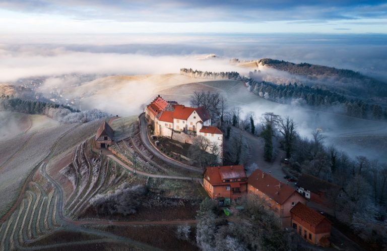 © Marcel Heinzmann_heimatlichter Blick auf das Schloss Staufenberg im Winter bei Nebel von Weinbergen umgeben.