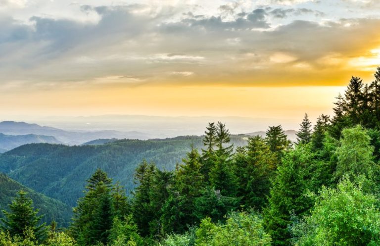 © Robert Laun_heimatfotos.de Blick auf bewaldete Berge unter einem orangefarbenen Sonnenuntergang im Nationalpark Schwarzwald